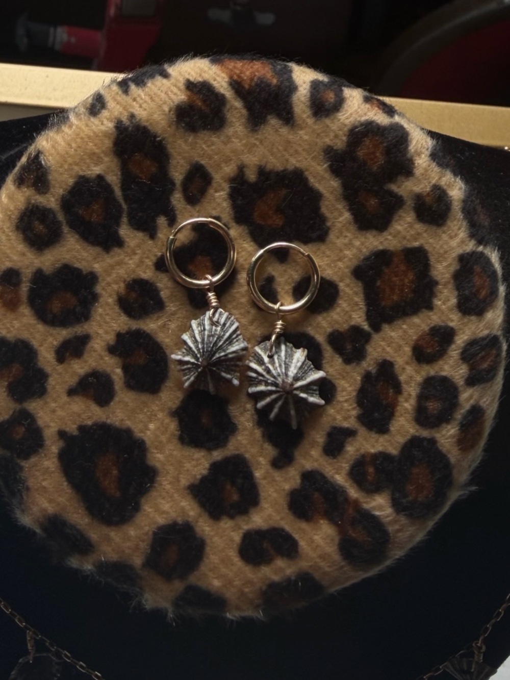 Gold filled Hoop Earrings with False Opihi (limpet)